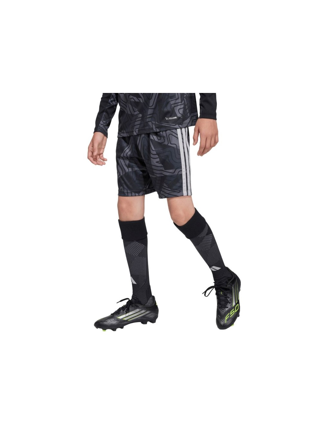 1012498-thickbox_default-a2cfd868-aa9d-f111-b6e1-a8a15986bd35