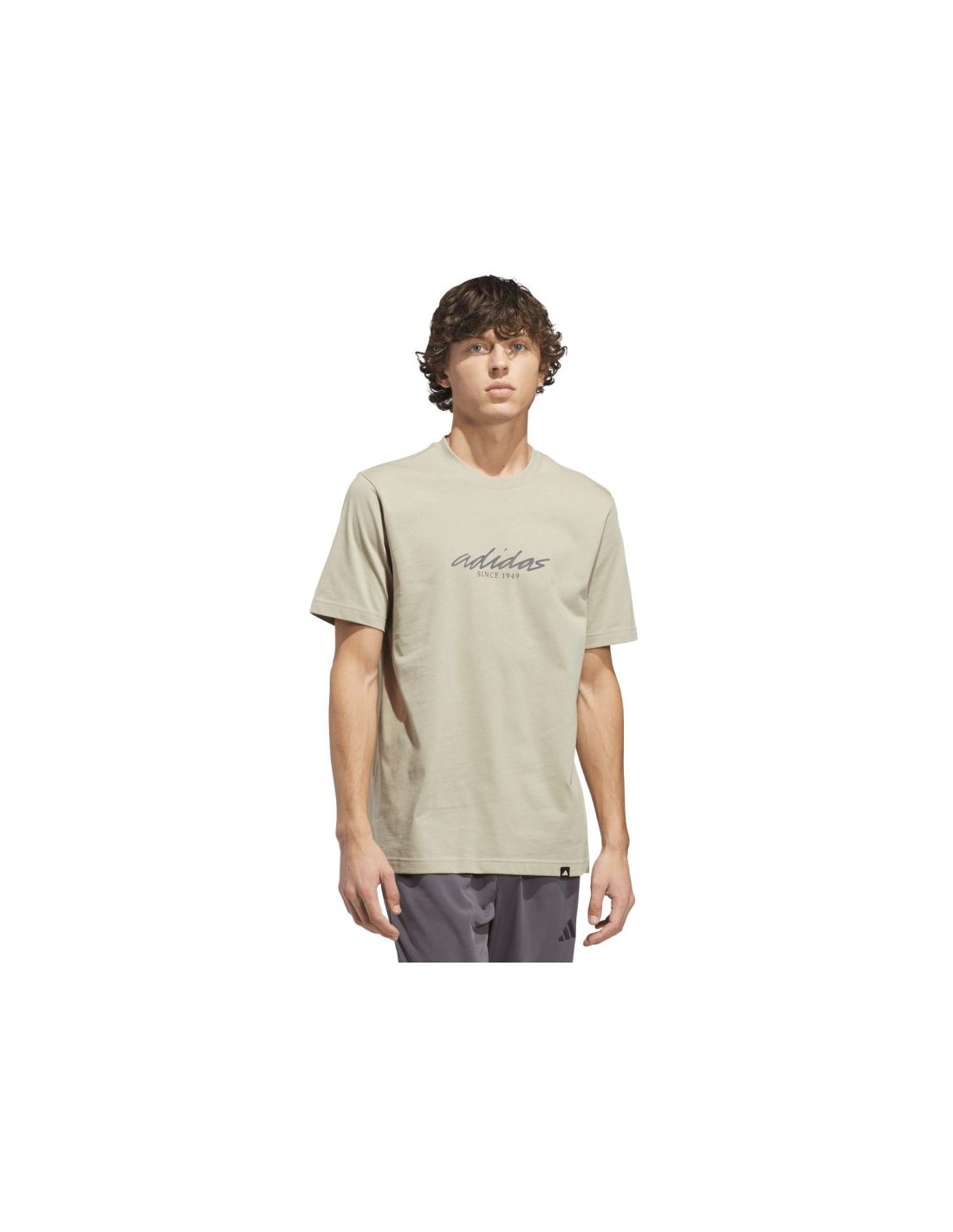 1021914-thickbox_default-6a2f1d64-e04e-f111-974d-00155d01f100