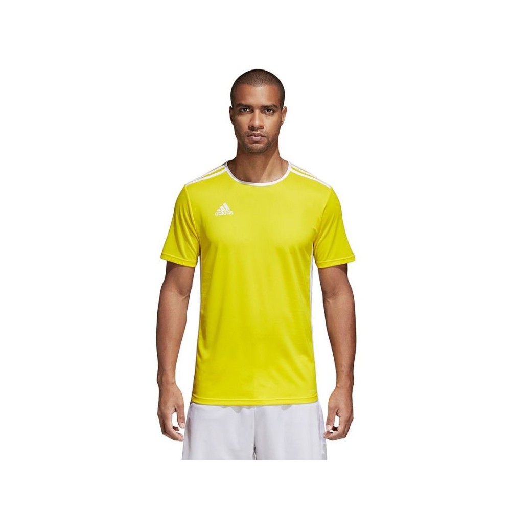 117605-thickbox_default-adidas-entrada-18-αθλητικό-ανδρικό-t-shirt-κίτρινο-με-λογότυπο-cd8390