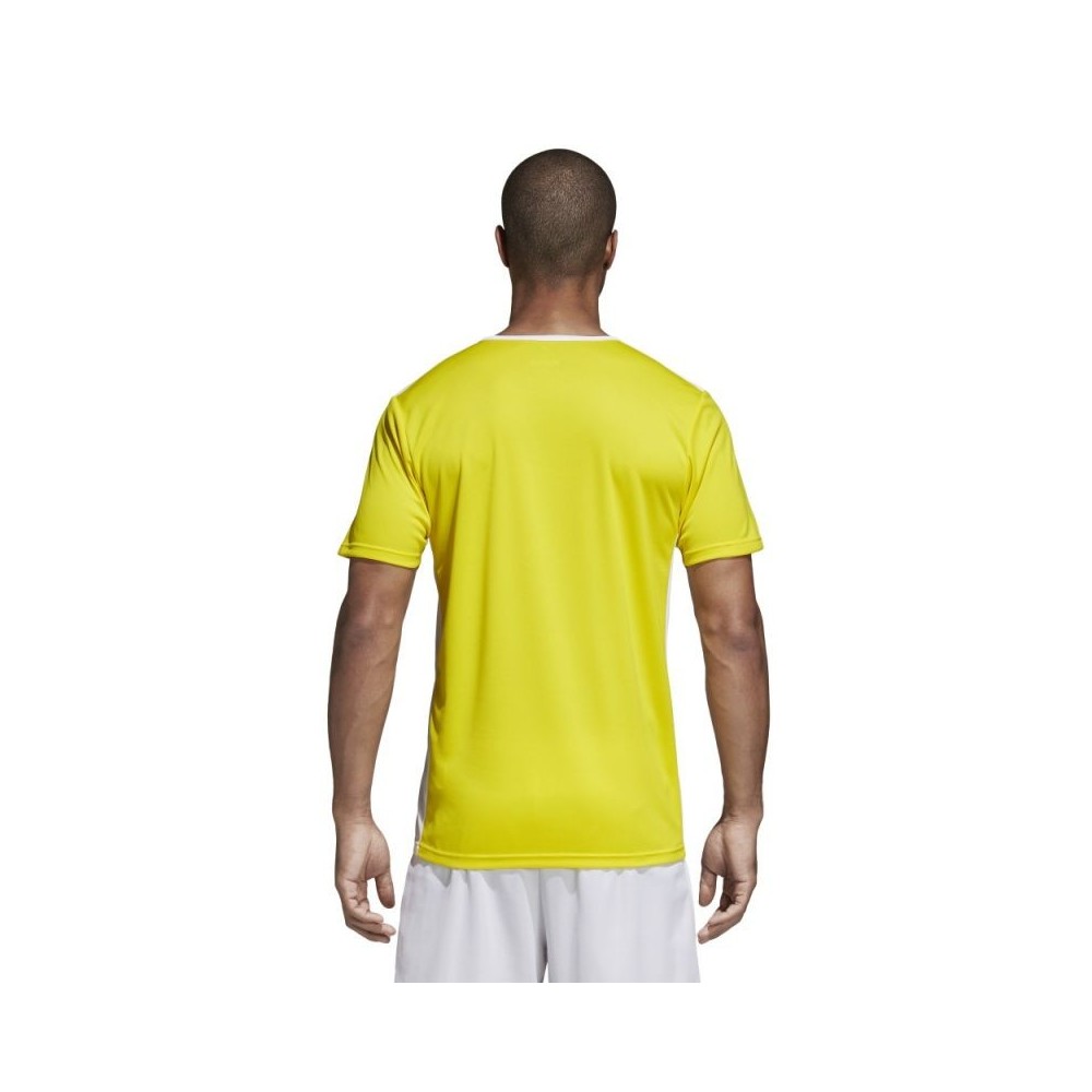 117606-thickbox_default-adidas-entrada-18-αθλητικό-ανδρικό-t-shirt-κίτρινο-με-λογότυπο-cd8390