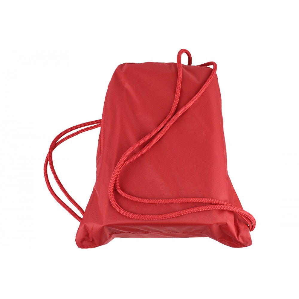 229582-thickbox_default-converse-cinch-bag-3ea045c-600