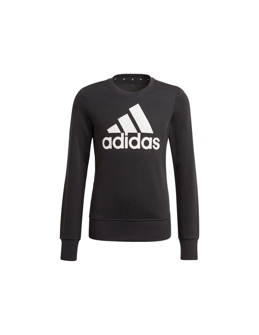 398804-thickbox_default-sweatshirt-adidas-essentials-big-logo-jr-gp0040