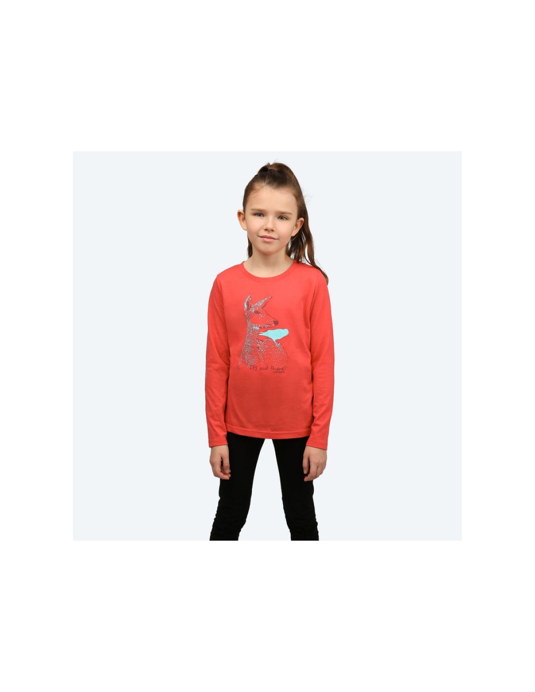 429975-thickbox_default-619cf666-c2dc-ec11-b618-a8a15986bd35