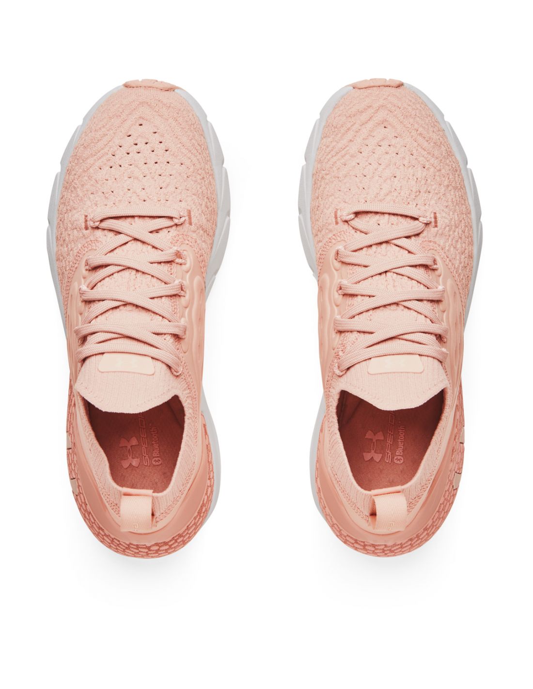 441567-thickbox_default-bc948ec3-d5dc-ec11-9281-b42e99c1b4fa