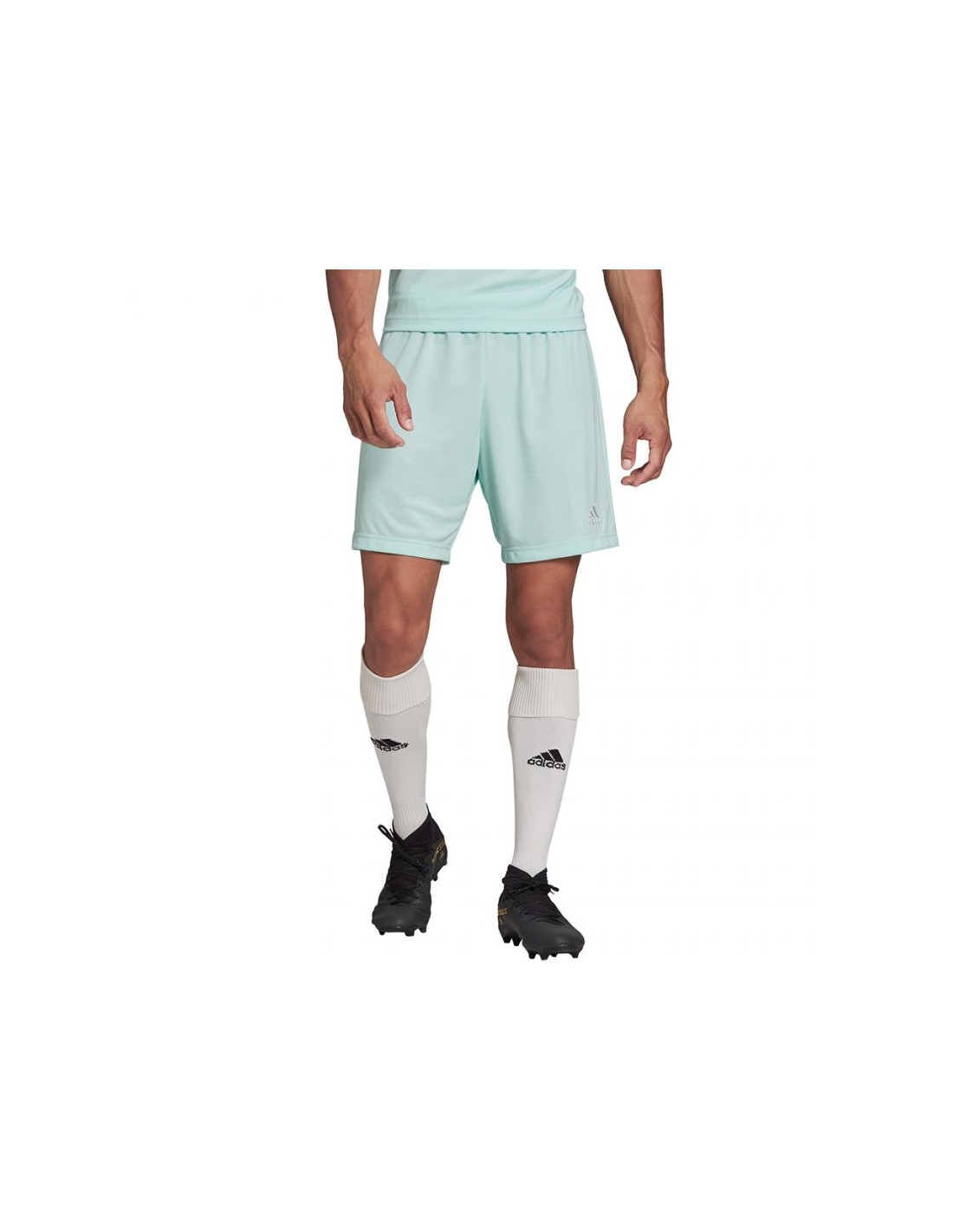 445649-thickbox_default-adidas-entrada-22-m-hc5051-shorts