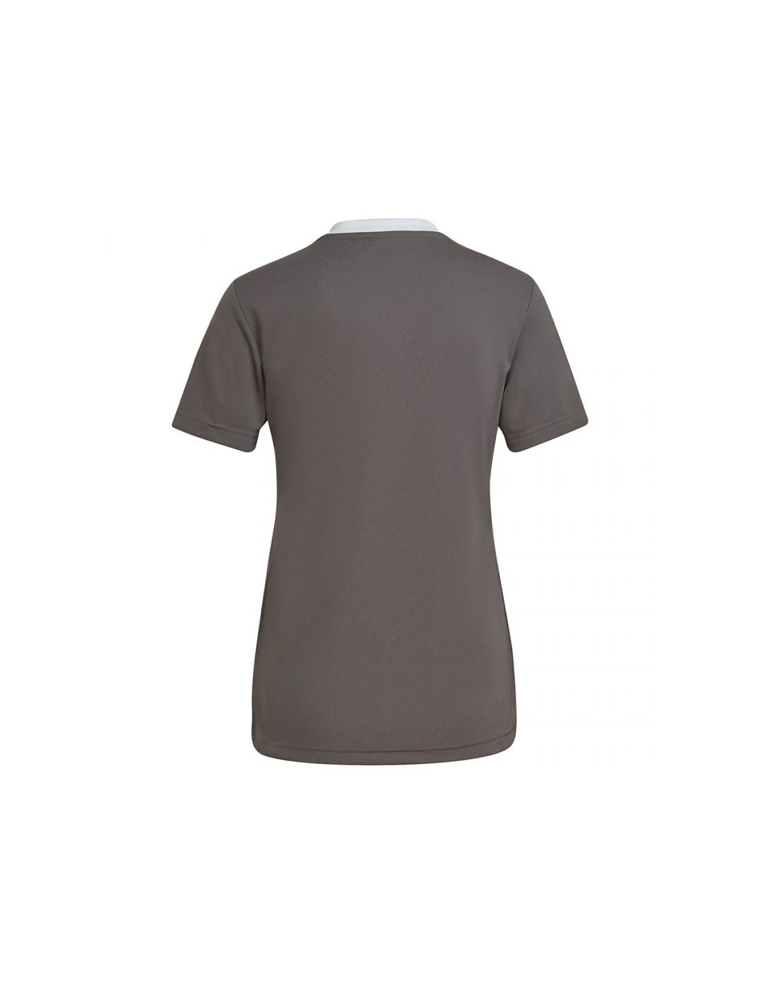 445909-thickbox_default-adidas-entrada-22-γυναικείο-αθλητικό-t-shirt-fast-drying-με-v-λαιμόκοψη-team-grey-four-h59848
