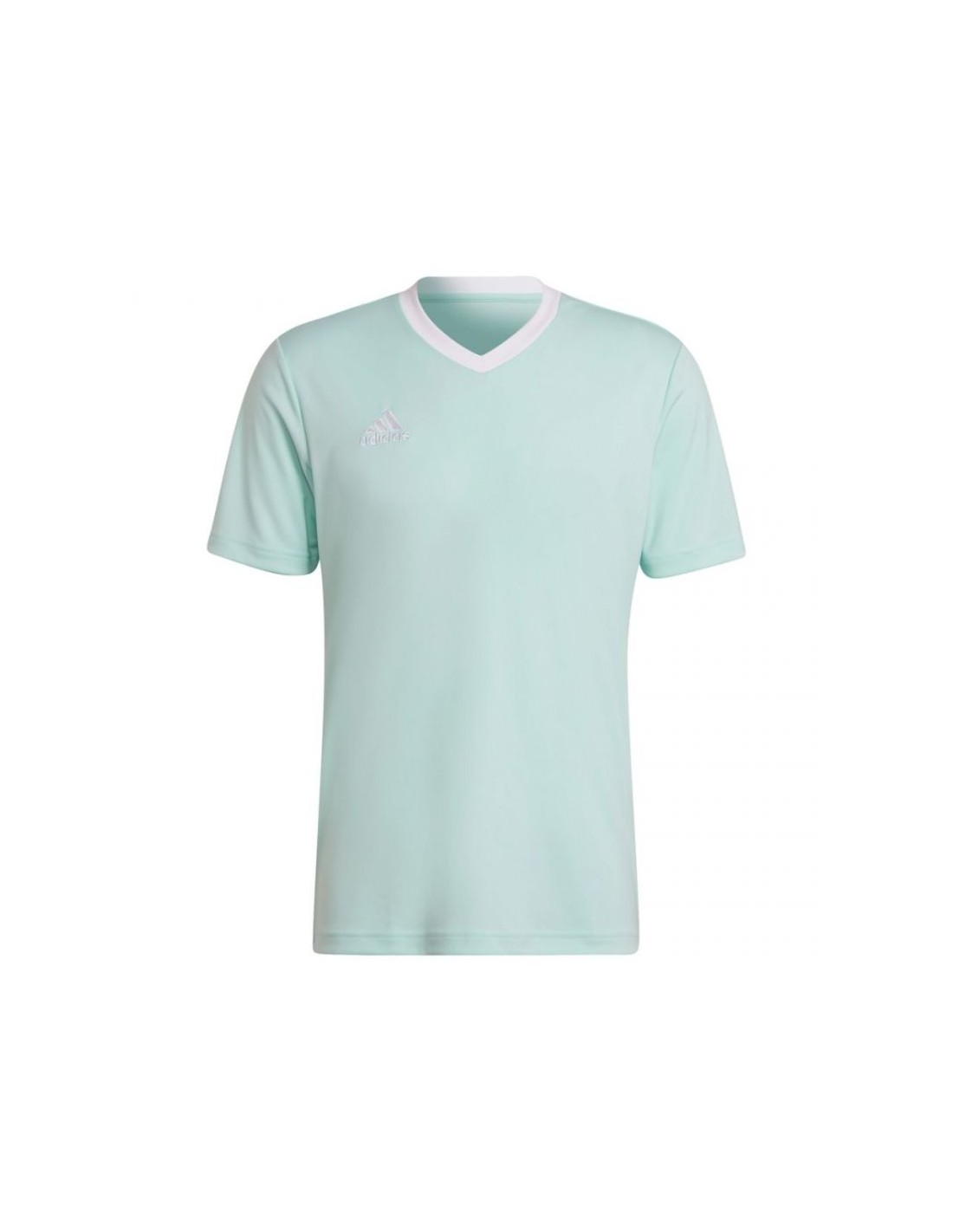 446382-thickbox_default-adidas-entrada-22-ανδρικό-t-shirt-clear-mint-μονόχρωμο-hc5073
