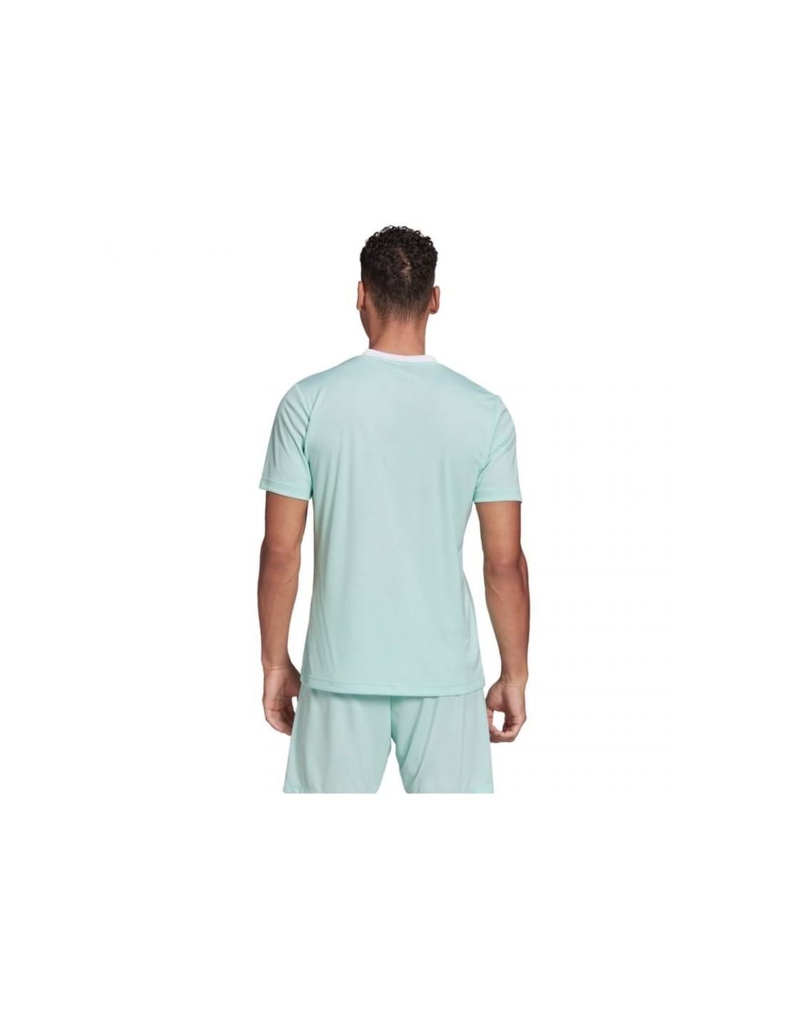446383-thickbox_default-adidas-entrada-22-ανδρικό-t-shirt-clear-mint-μονόχρωμο-hc5073