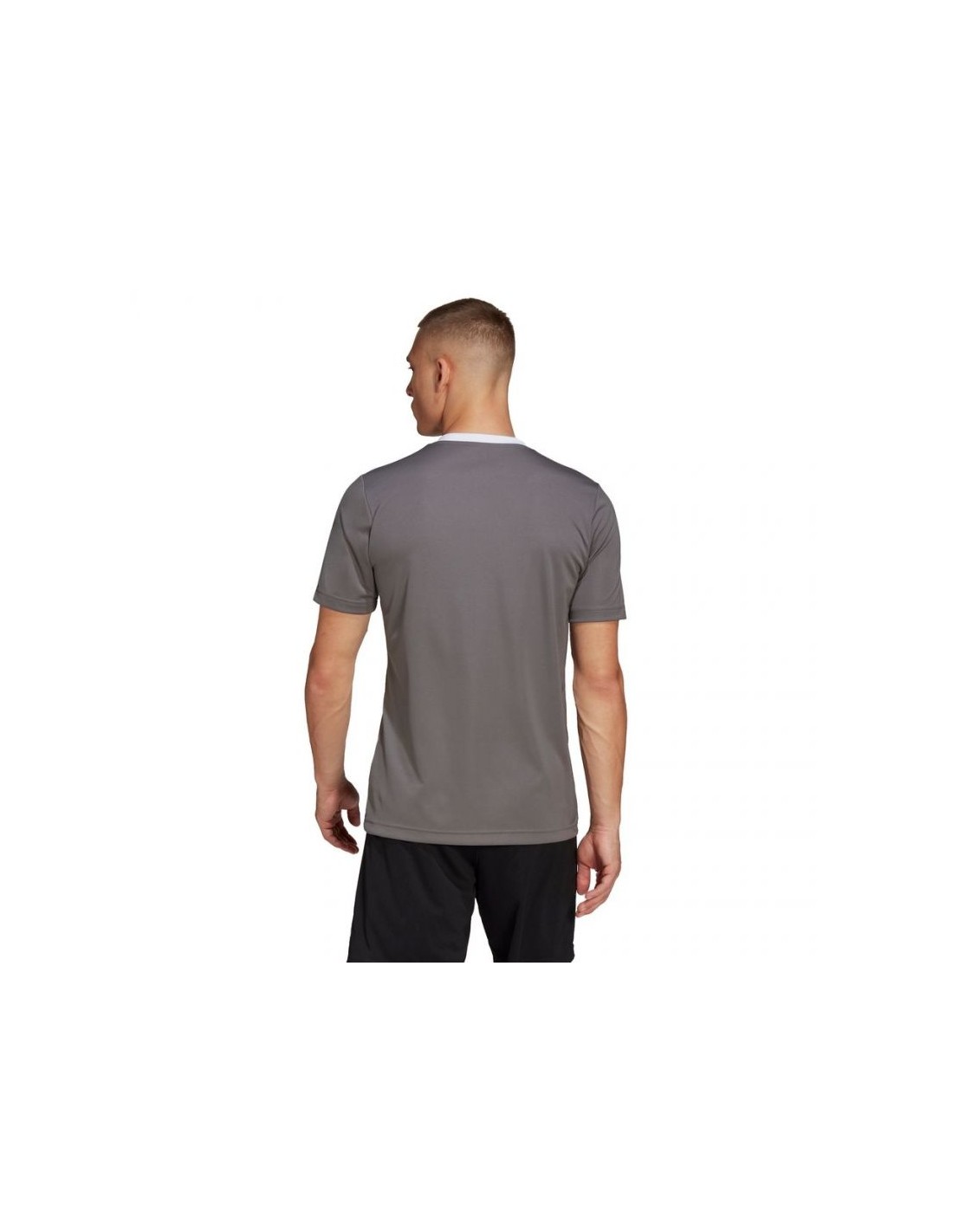 446413-thickbox_default-adidas-entrada-22-ανδρικό-t-shirt-team-grey-four-μονόχρωμο-he1574