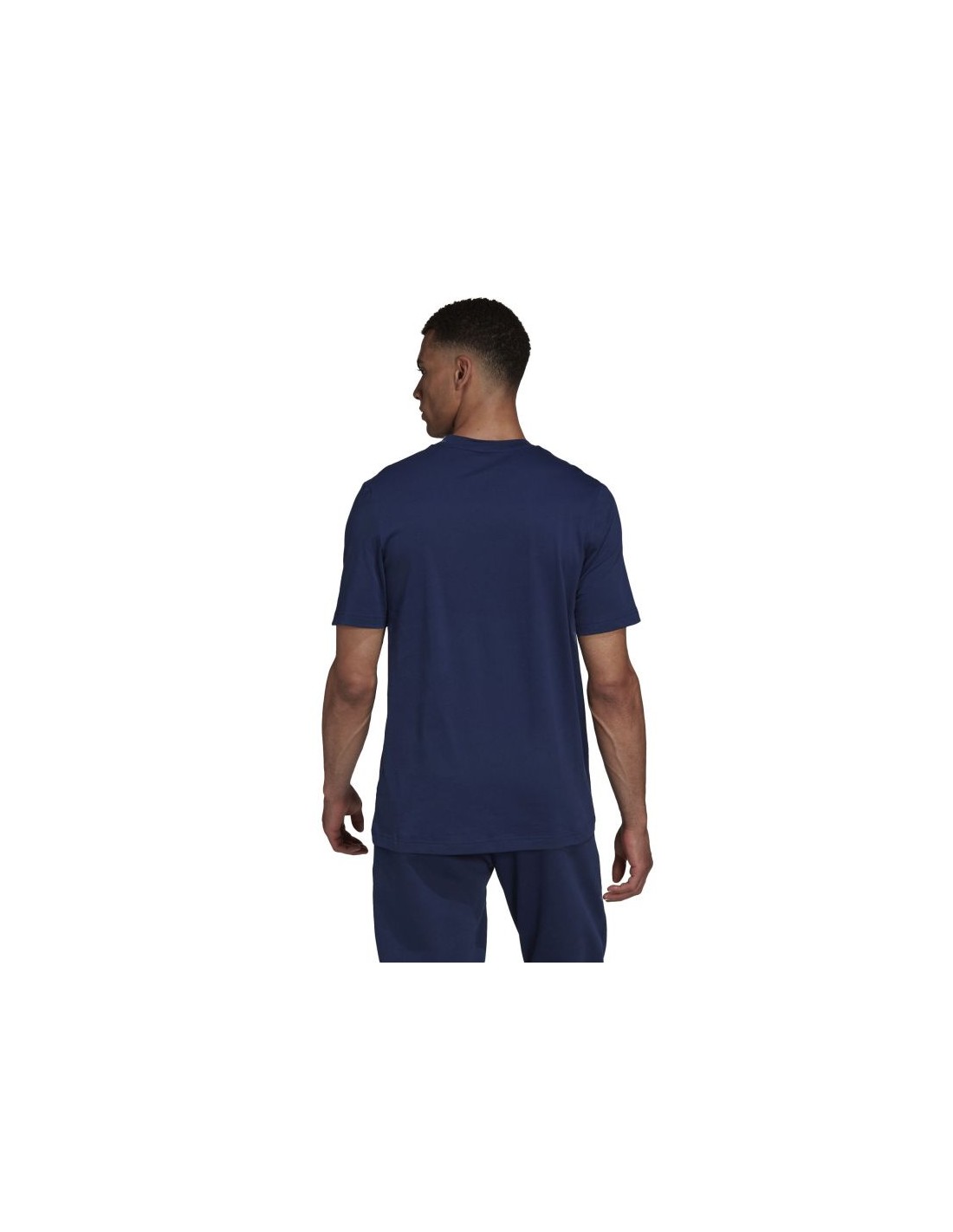 449253-thickbox_default-ad9568a5-67dc-ec11-b618-a8a15986bd35