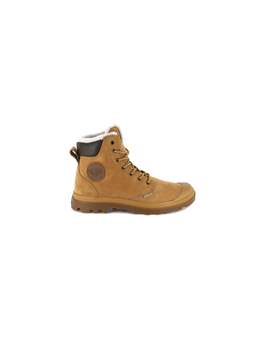 503410-thickbox_default-af1dab94-b8dc-ec11-b618-a8a15986bd35
