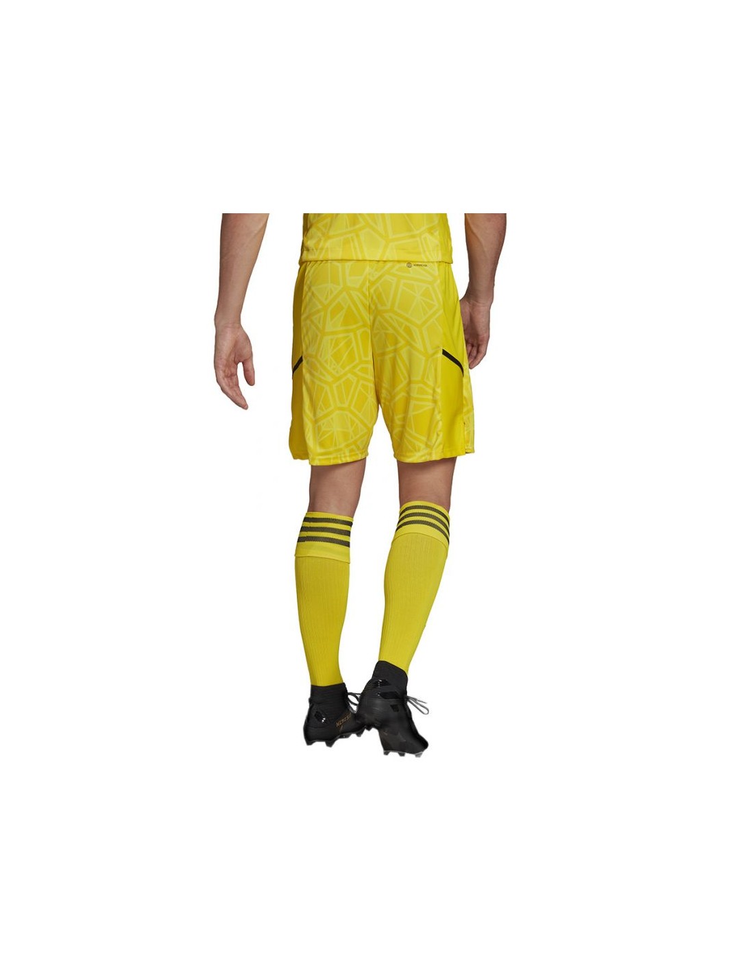 518735-thickbox_default-adidas-condivo-22-hf0141-ανδρικό-σορτς-εμφάνισης-ποδοσφαίρου