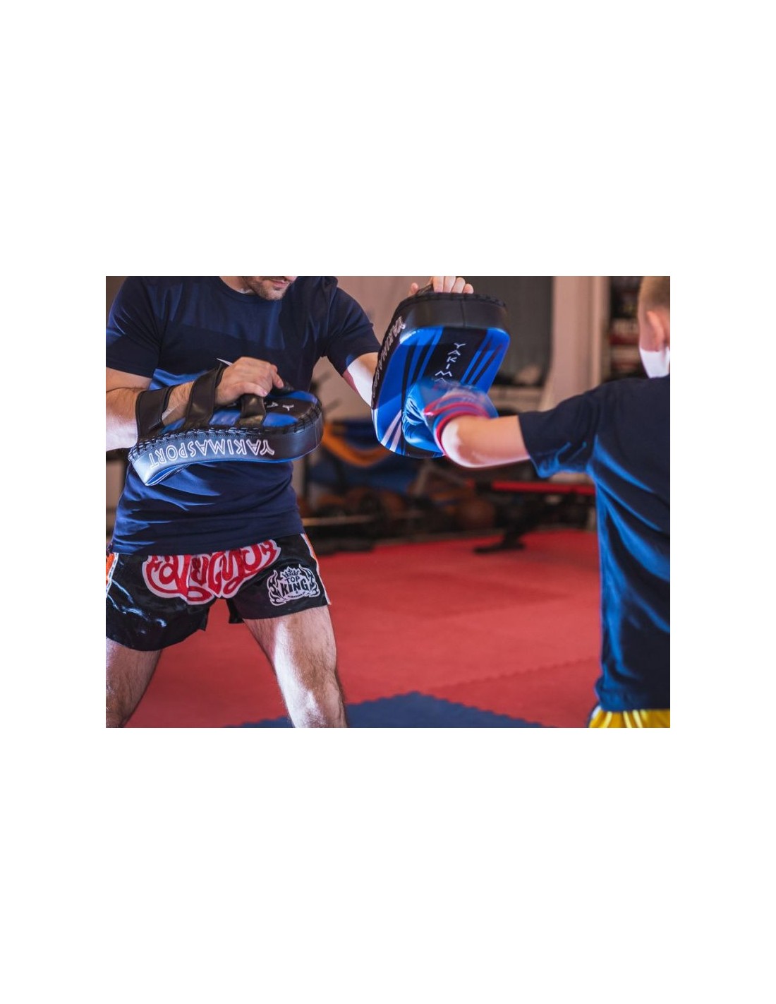 544737-thickbox_default-yakima-sport-pao-coach-shield-100351