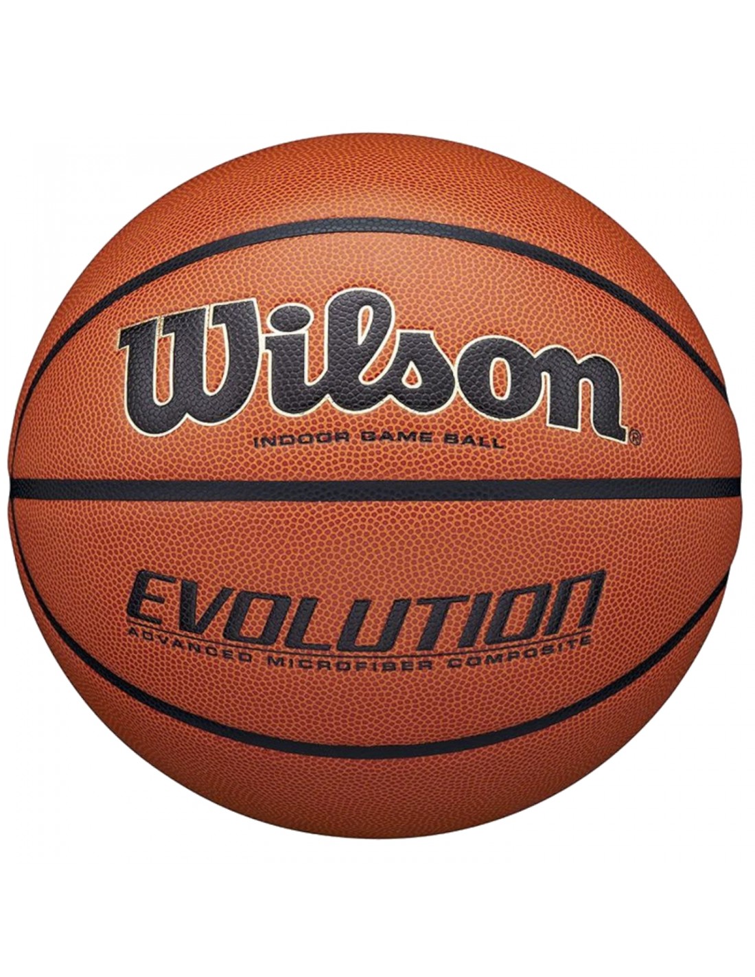 553567-thickbox_default-wilson-evolution-indoor-game-ball-wtb0516xbemea