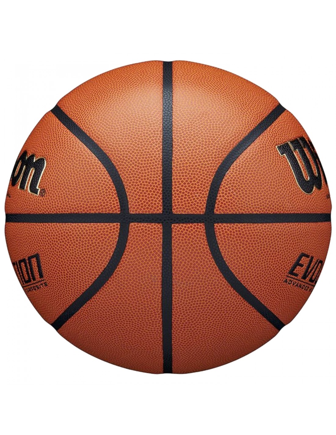 553568-thickbox_default-wilson-evolution-indoor-game-ball-wtb0516xbemea
