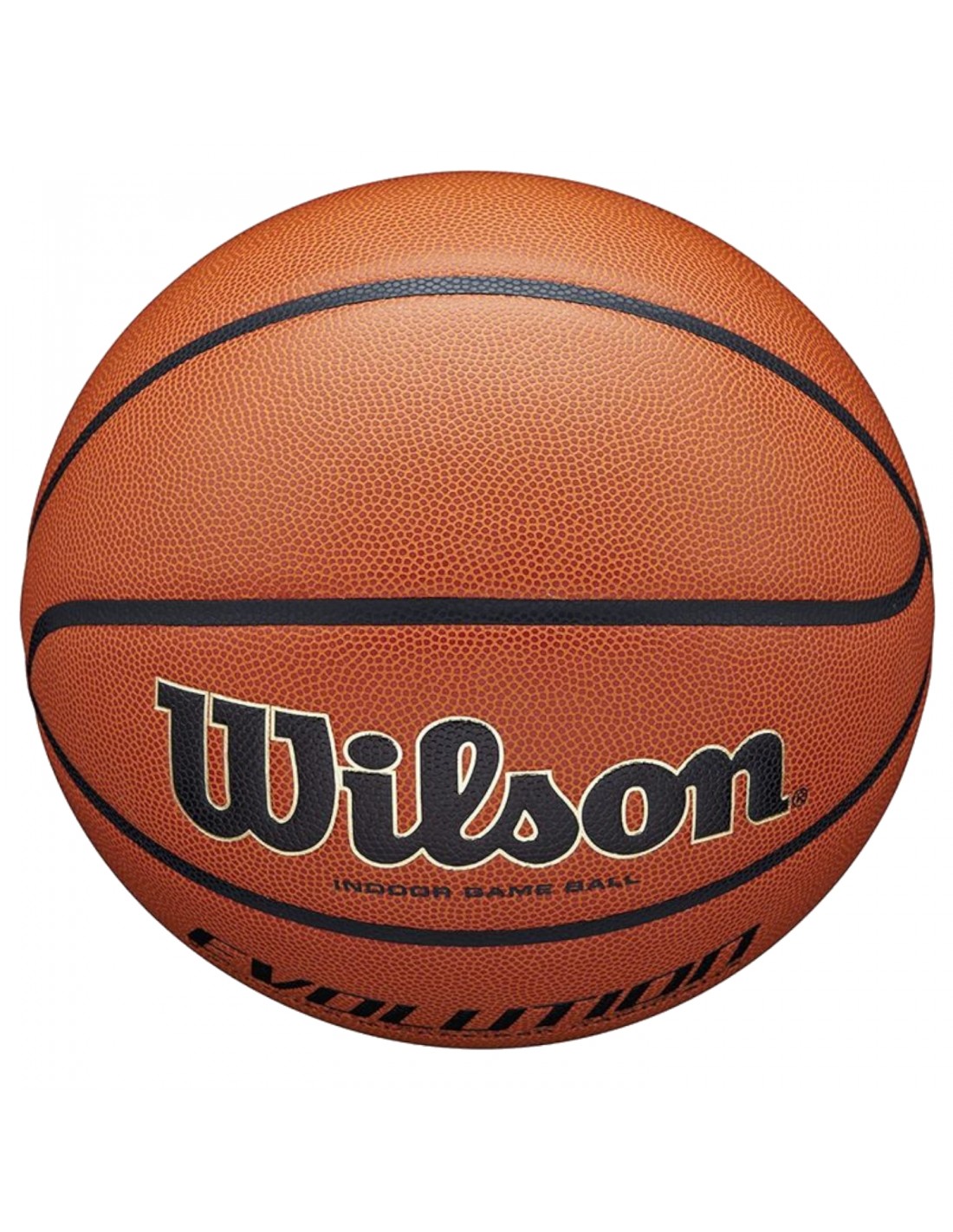 553569-thickbox_default-wilson-evolution-indoor-game-ball-wtb0516xbemea