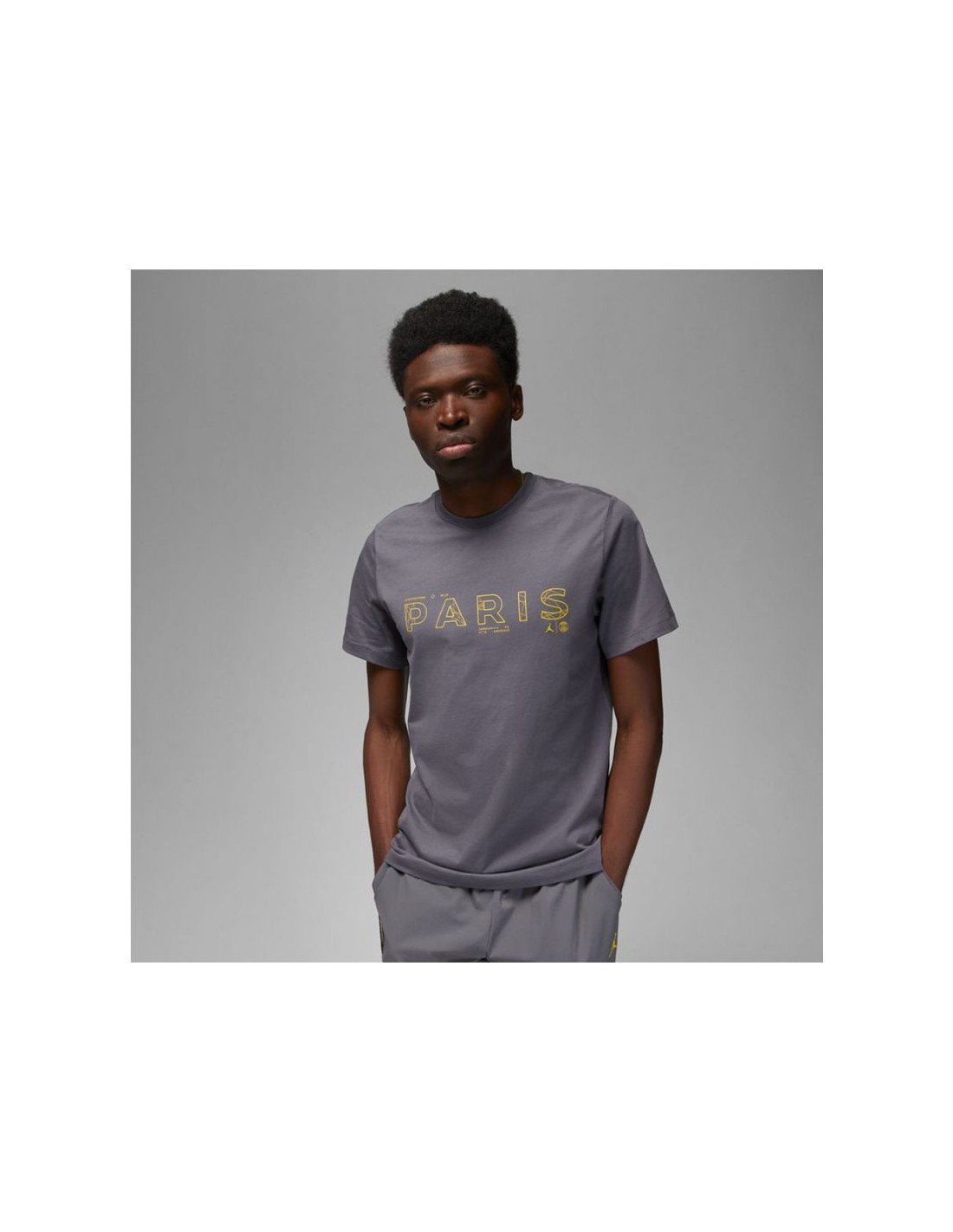 558544-thickbox_default-jordan-paris-saint-germain-ανδρικό-t-shirt-γκρι-με-στάμπα-dv0634-014