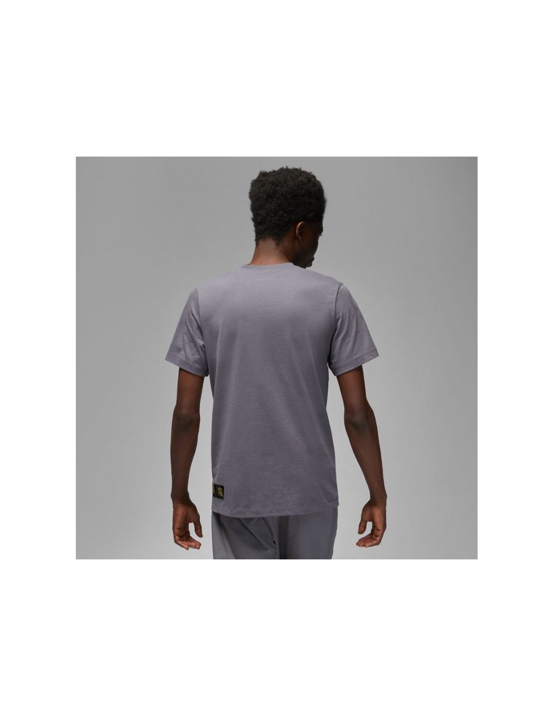 558545-thickbox_default-jordan-paris-saint-germain-ανδρικό-t-shirt-γκρι-με-στάμπα-dv0634-014
