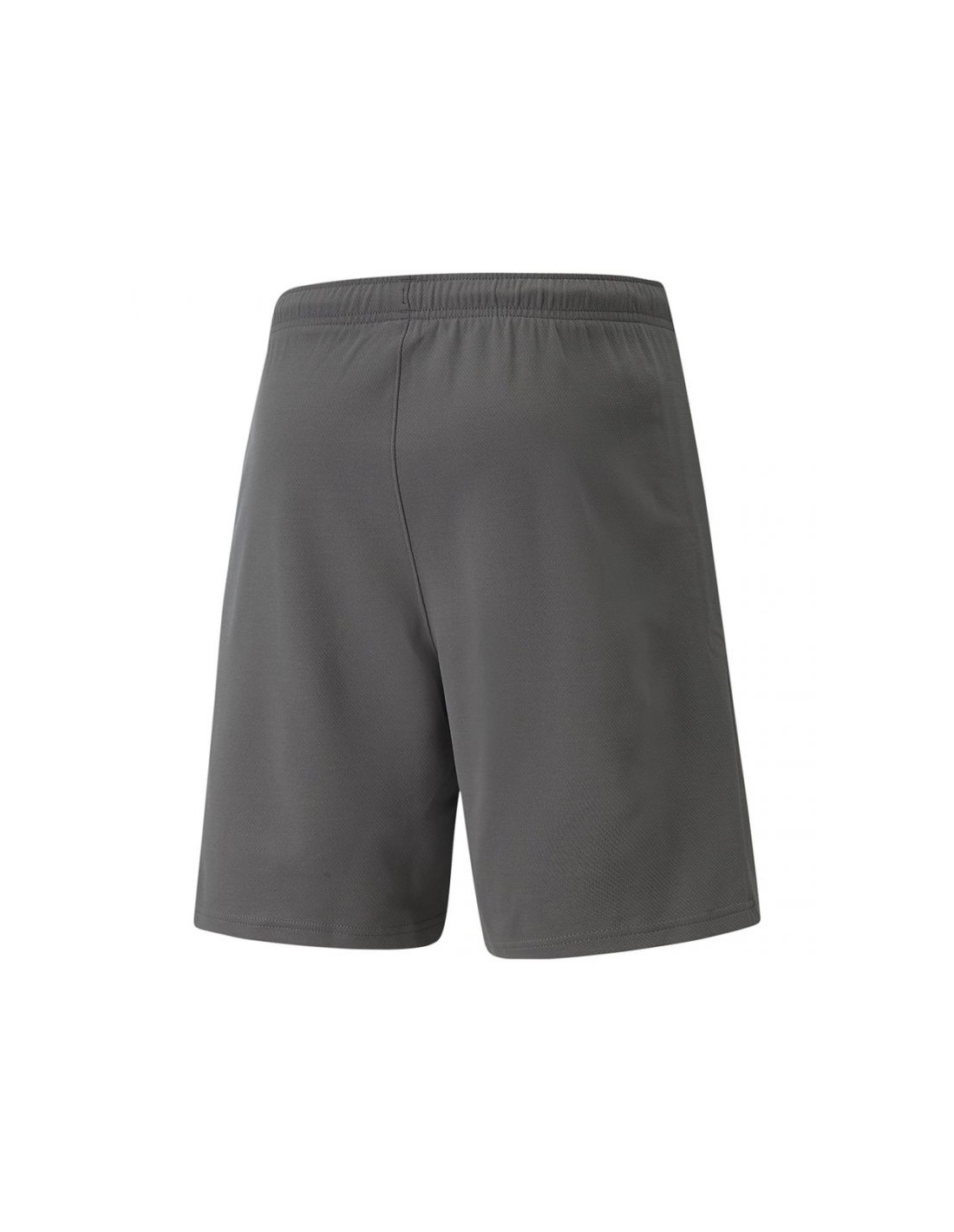 569389-thickbox_default-puma-teamrise-704942-13-ανδρικό-σορτς-εμφάνισης-ποδοσφαίρου