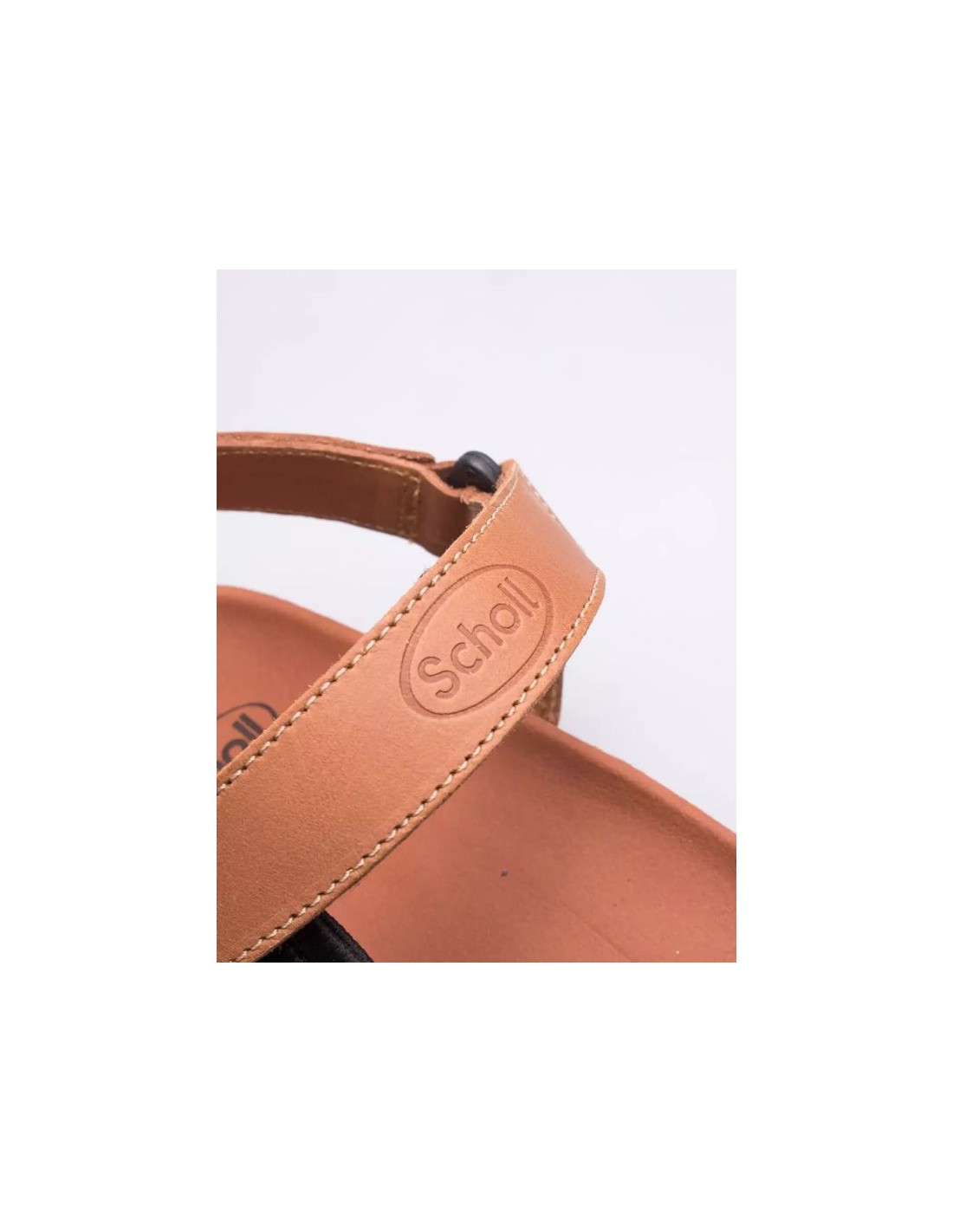 571176-thickbox_default-8cc3162f-0715-ee11-b658-a8a15986bd35