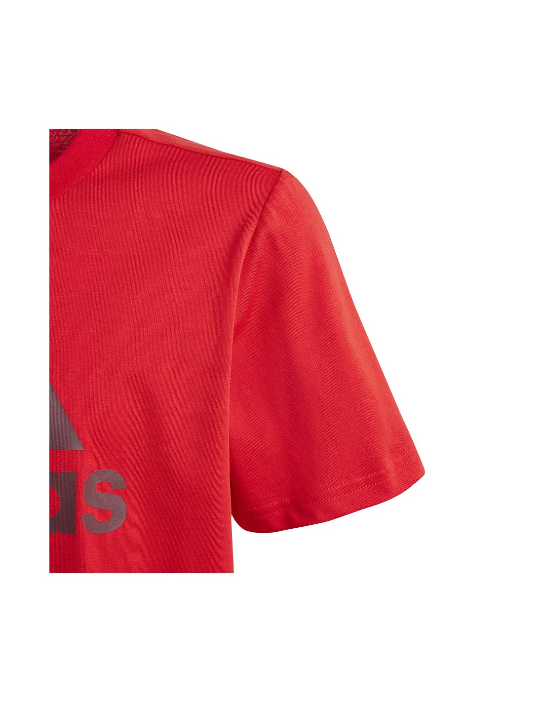 588808-thickbox_default-adidas-big-logo-tee-jr-παιδικό-t-shirt-ij6262