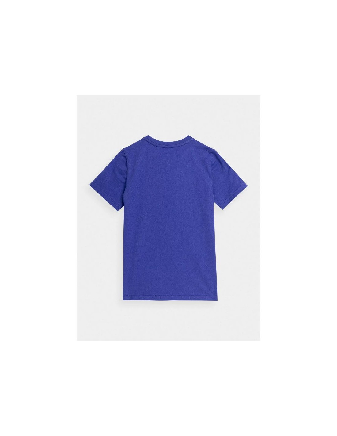 594341-thickbox_default-4f-παιδικό-t-shirt-μπλε-4fjaw23ttshm0798-36s