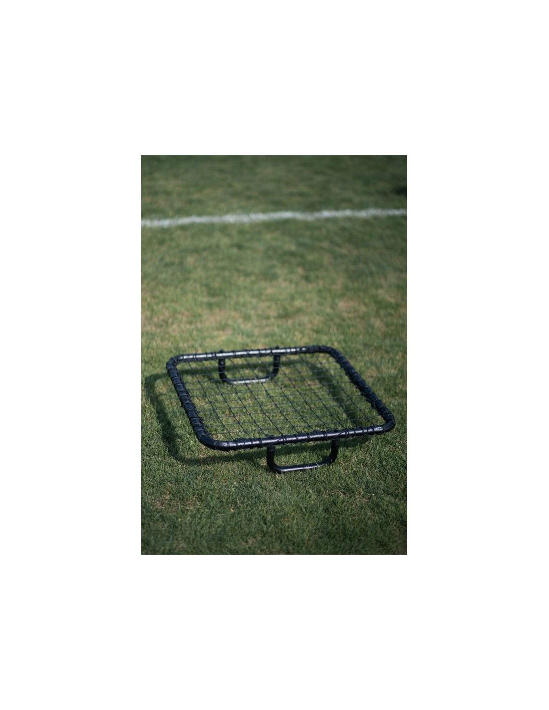 602446-thickbox_default-d1e5c084-2cc6-ee11-b681-a8a15986bd35