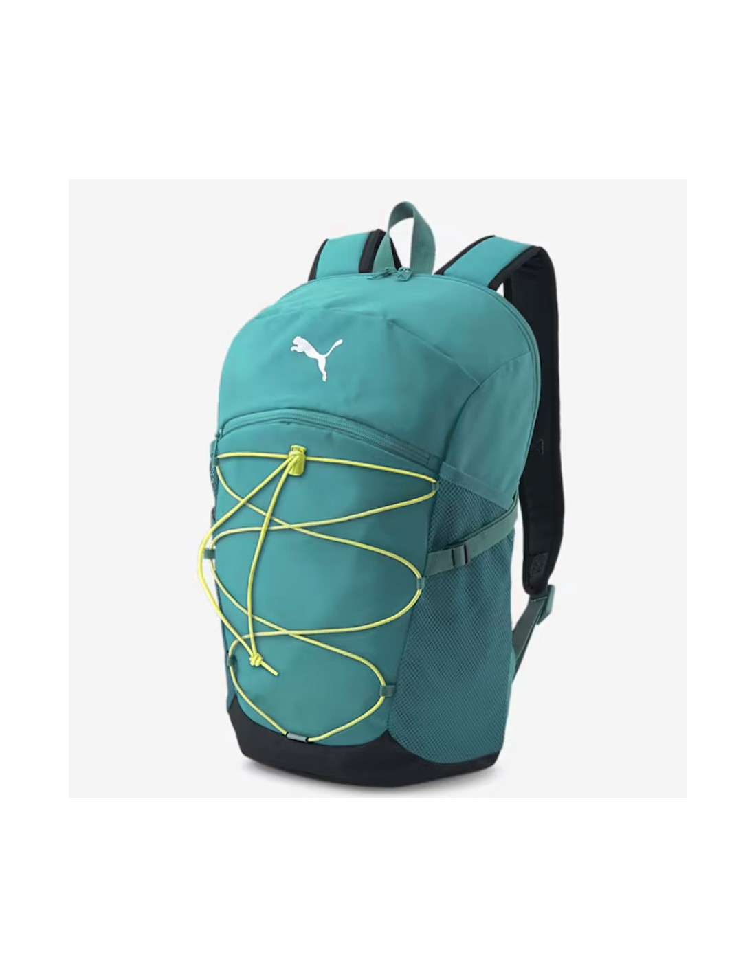 602784-thickbox_default-7ffe32f6-b4c6-ee11-9722-00155d01f100