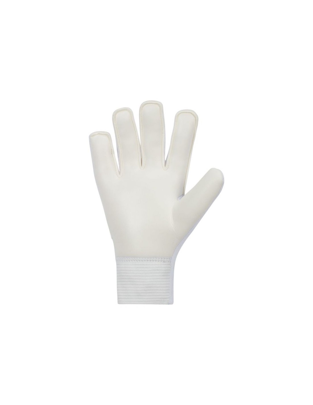 605548-thickbox_default-23ba7fd8-29c6-ee11-b681-a8a15986bd35