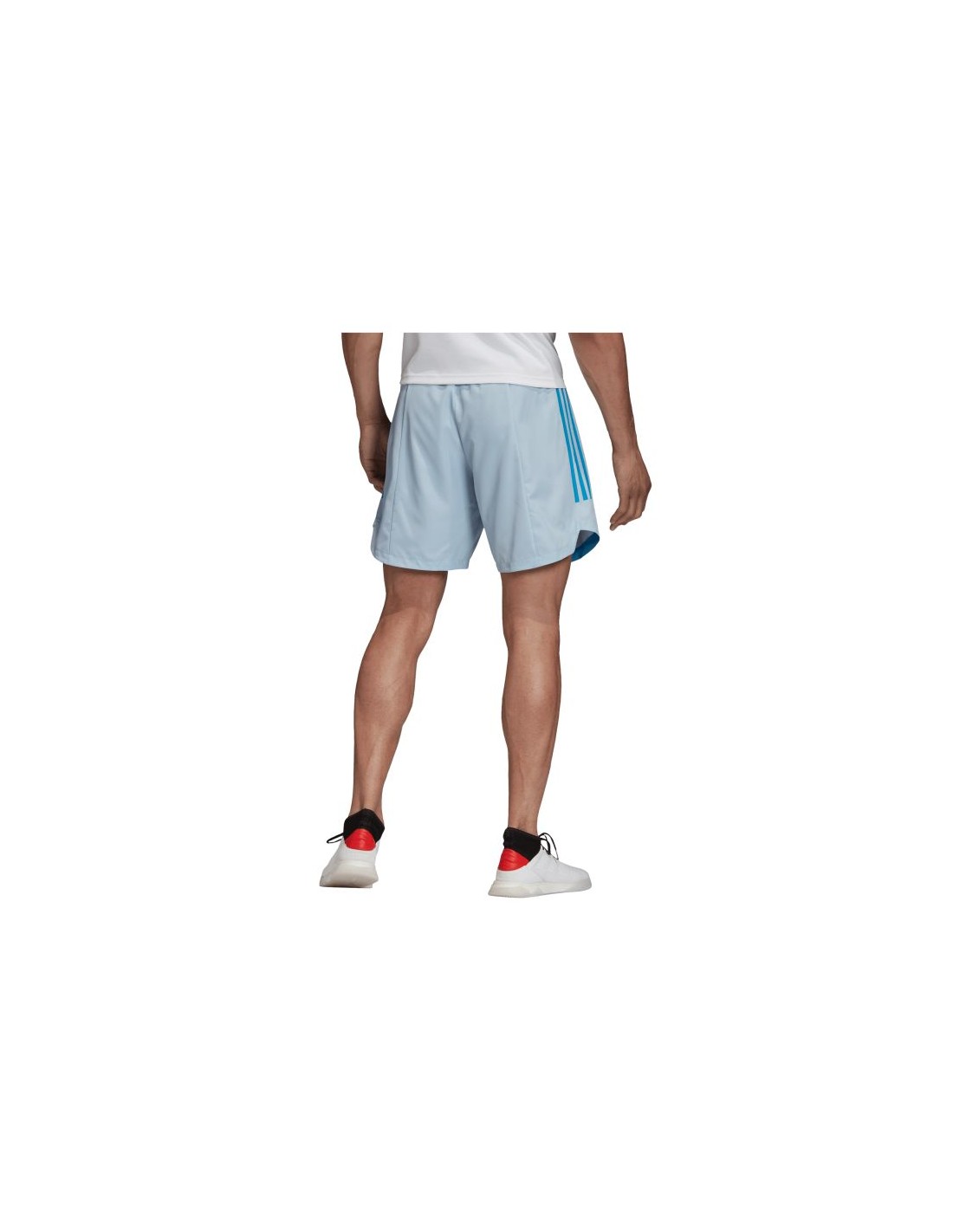 615333-thickbox_default-adidas-condivo-20-pb-m-219-fi4219-shorts