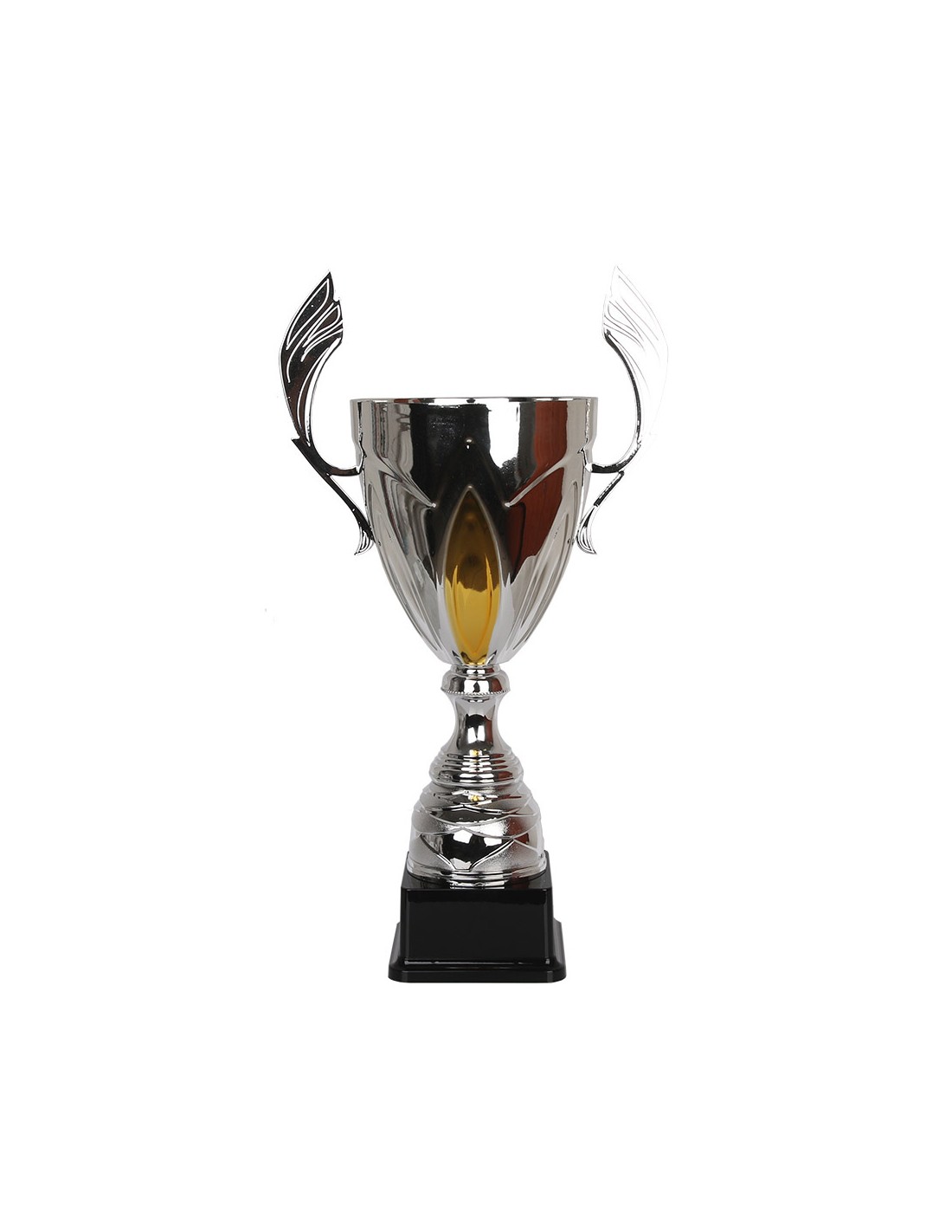617158-thickbox_default-triumph-cup-nt755