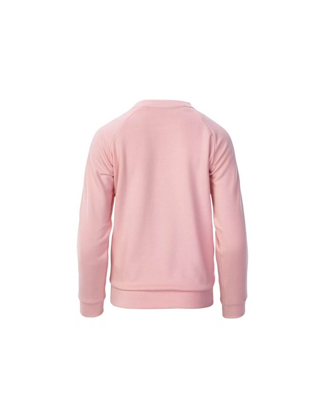 633011-thickbox_default-iguana-kauri-w-sweatshirt-92800442932