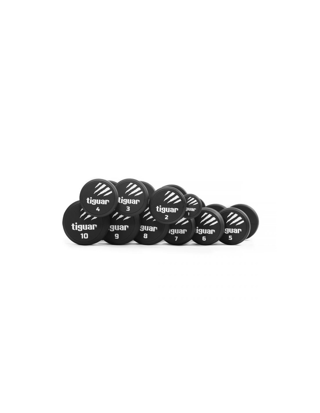 642498-thickbox_default-tiguar-pu-dumbbell-set-pair-1-10-kg
