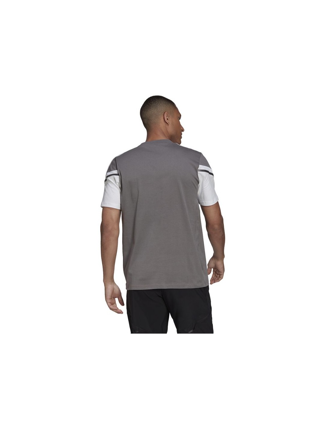 645958-thickbox_default-659418f2-1dc6-ee11-b681-a8a15986bd35