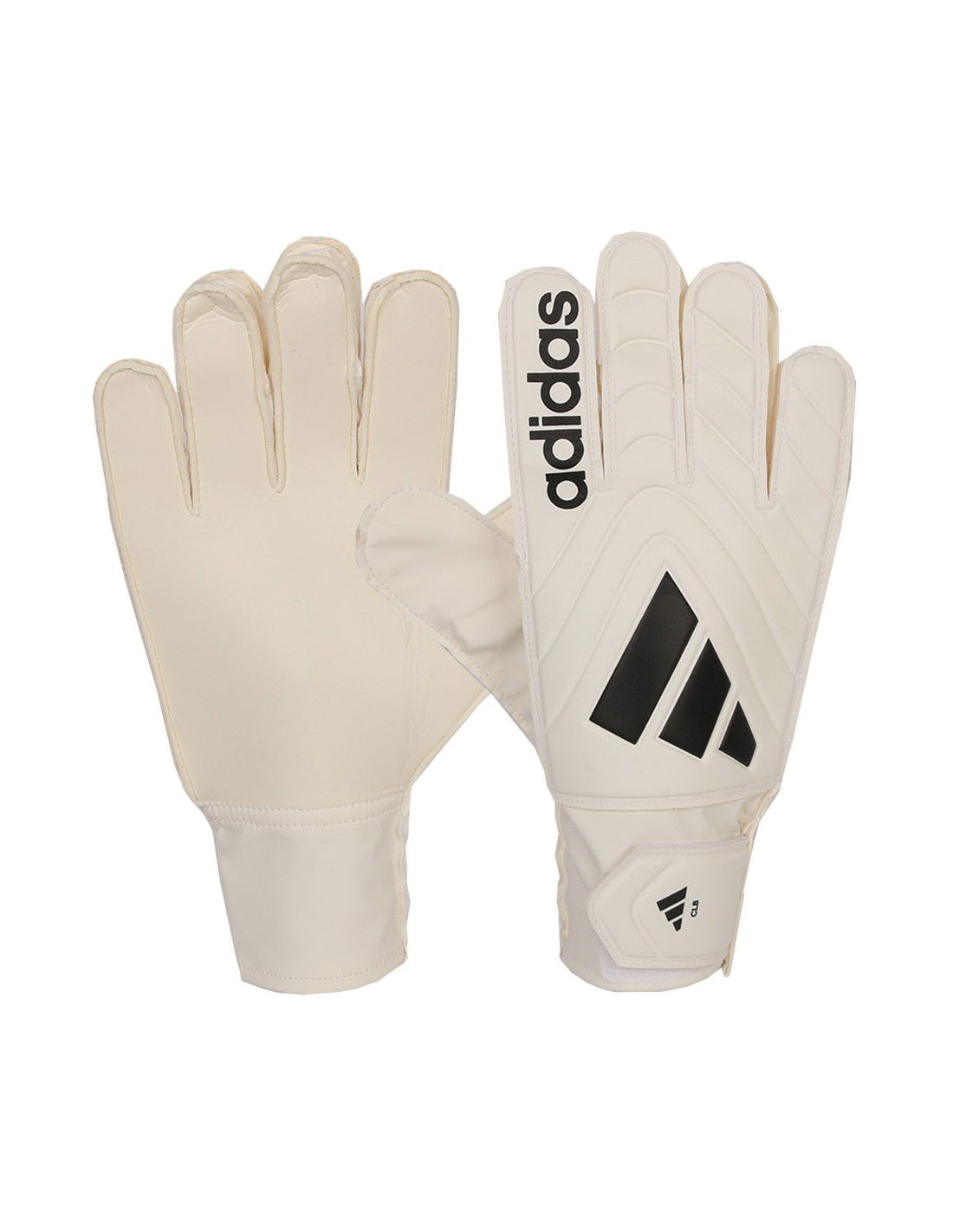 645978-thickbox_default-c5ec17f8-1dc6-ee11-b681-a8a15986bd35