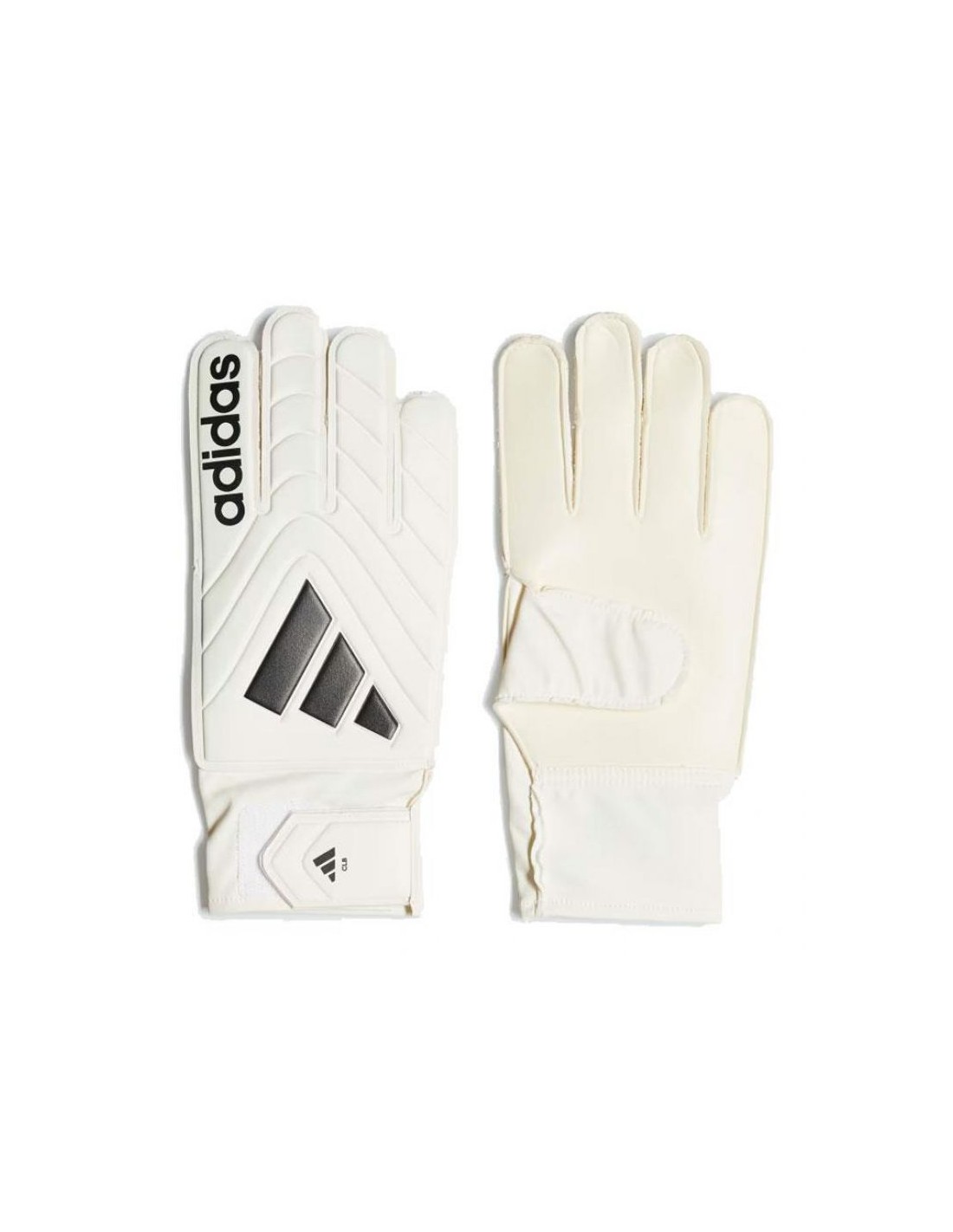 645979-thickbox_default-c5ec17f8-1dc6-ee11-b681-a8a15986bd35