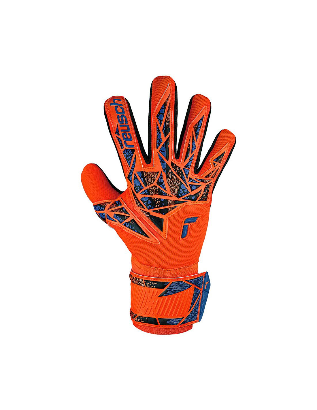 661958-thickbox_default-a8e56b0d-fbe1-ee11-8098-002185fc1153