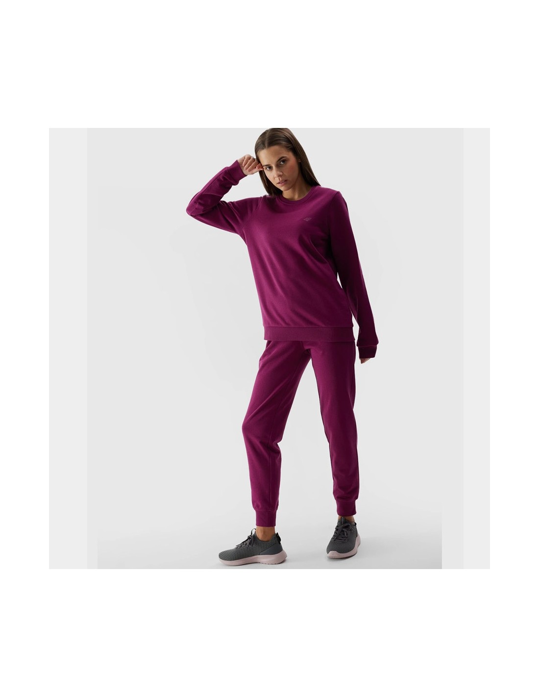 663289-thickbox_default-4f-sweatshirt-4fwss24tswsf0954-51s