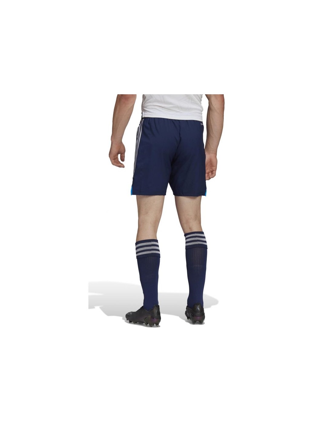 665409-thickbox_default-adidas-condivo-22-m-shorts-ha3505