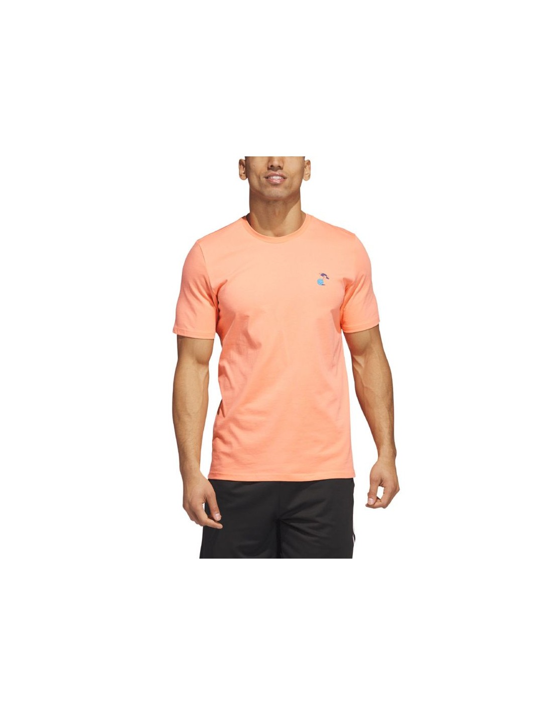 672294-thickbox_default-adidas-lil-stripe-spring-break-graphic-short-sleeve-basketball-tee-m-ic1869