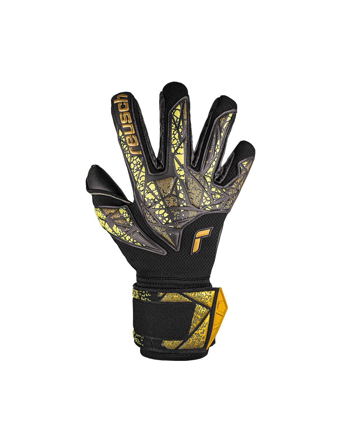 686120-thickbox_default-a51d0884-79f2-ee11-b688-a8a15986bd35