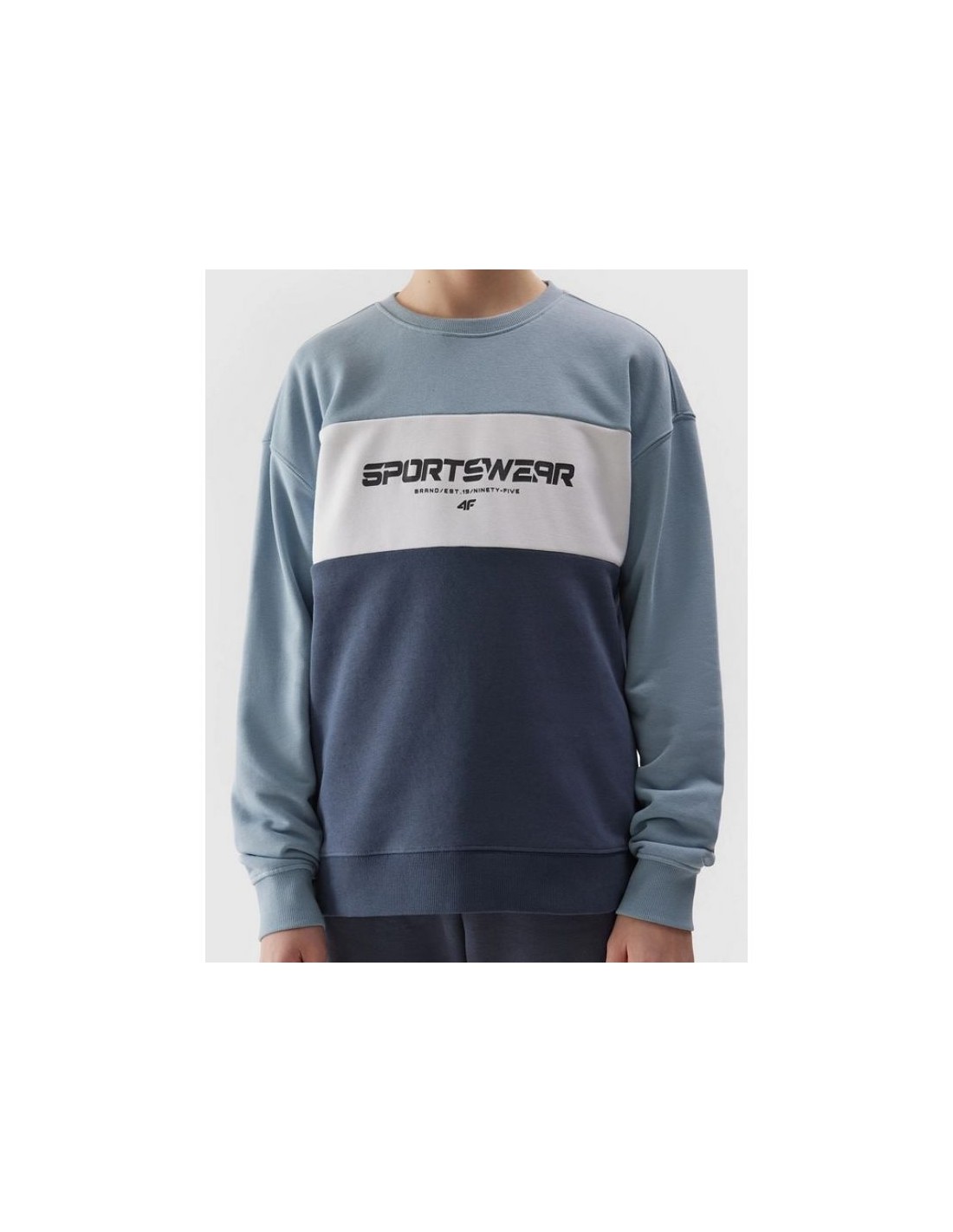 691021-thickbox_default-4f-jr-sweatshirt-4fjwss24tswsm0923-34s