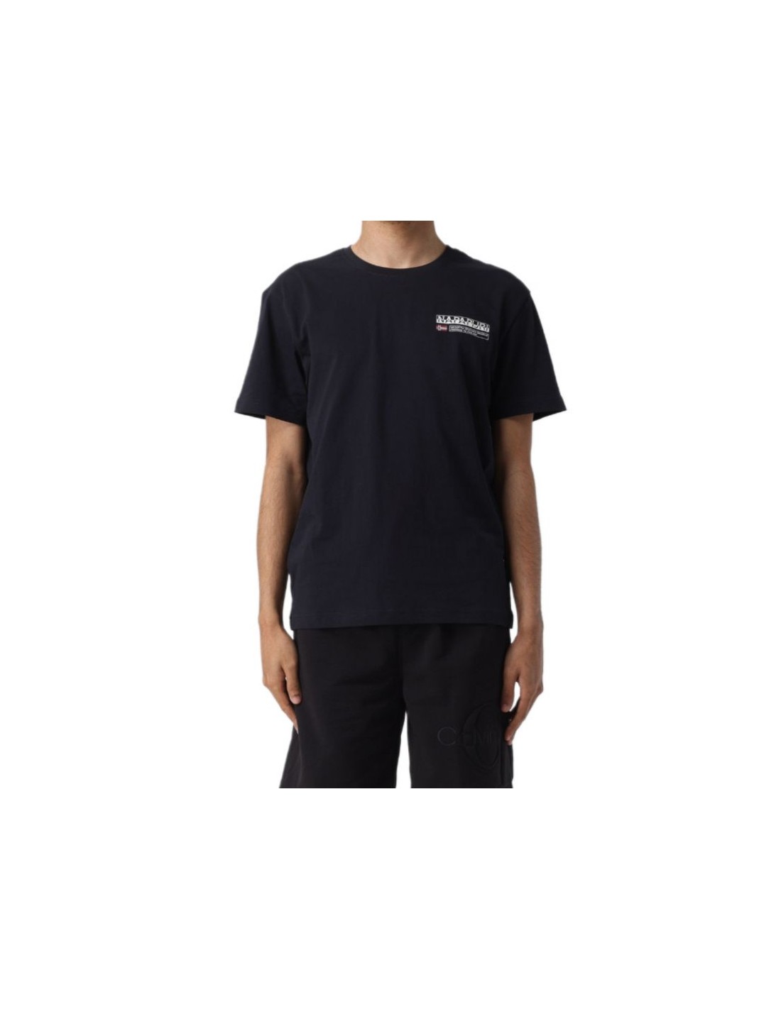 700962-thickbox_default-napapijri-s-kasba-regular-t-shirt-m-np0a4hqq