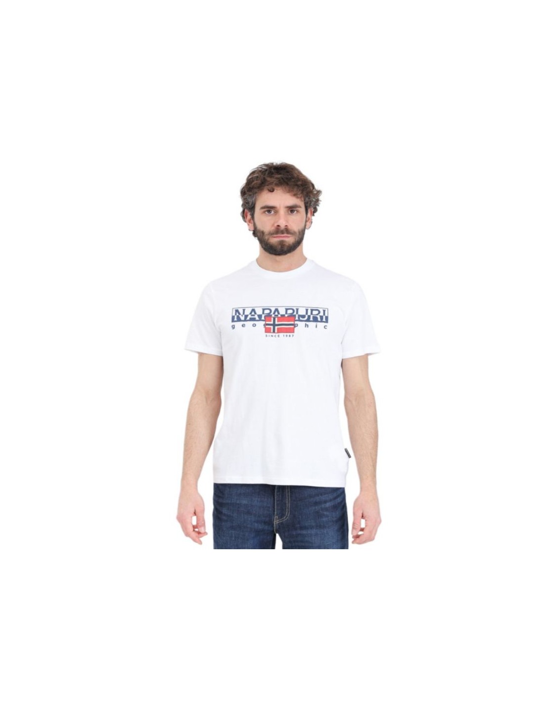 700973-thickbox_default-napapijri-s-aylmer-regular-m-t-shirt-np0a4hto