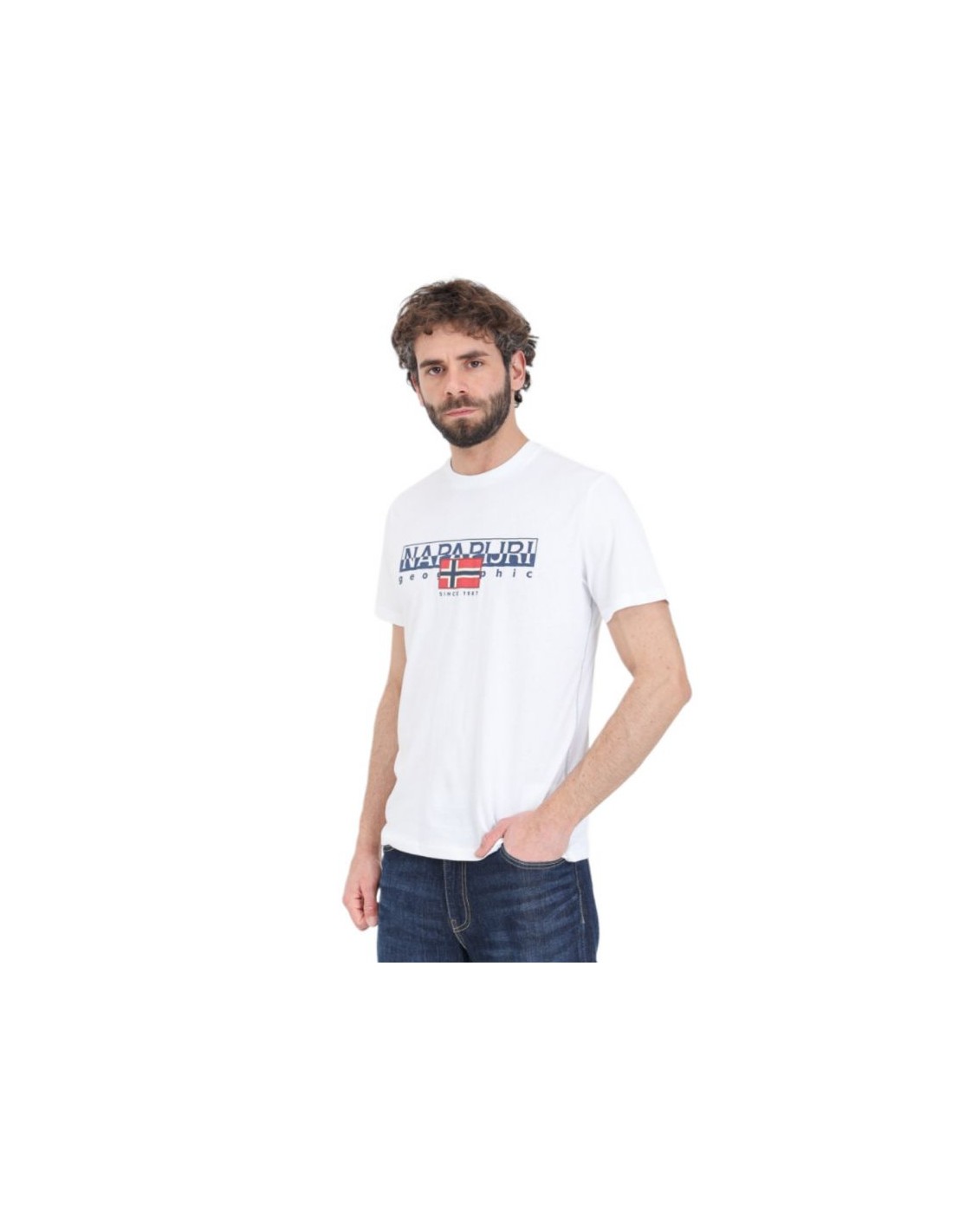 700974-thickbox_default-napapijri-s-aylmer-regular-m-t-shirt-np0a4hto