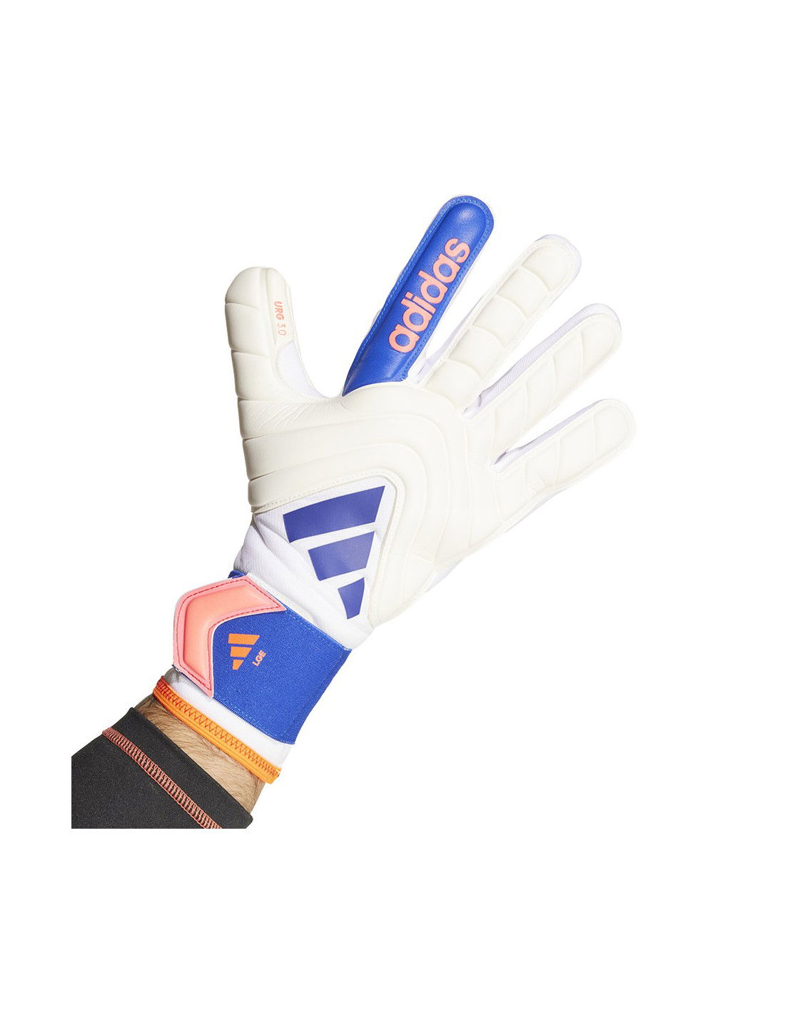 708078-thickbox_default-03bedc86-845a-ef11-9735-00155d01f100