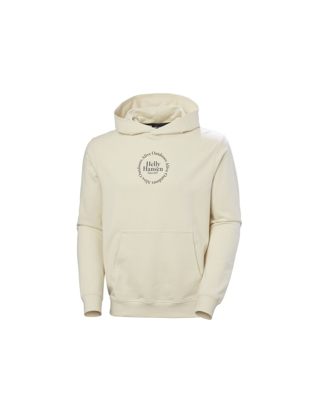 709040-thickbox_default-helly-hansen-core-graphic-sweat-hoodie-m-53924-034