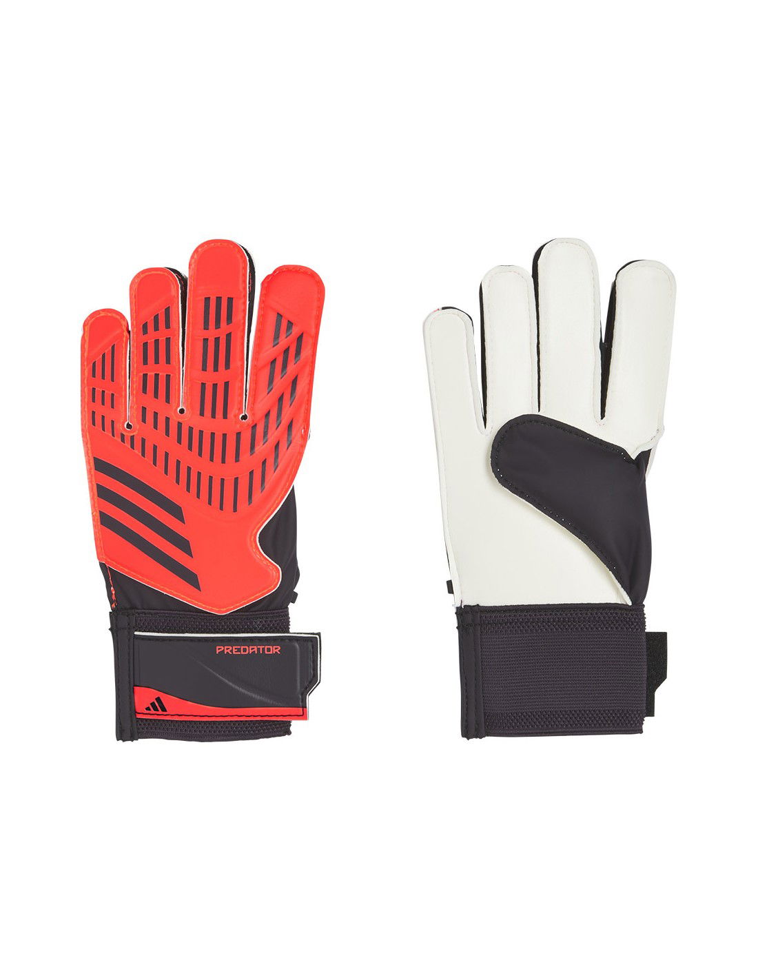 712133-thickbox_default-b78afa7f-3674-ef11-9735-00155d01f100