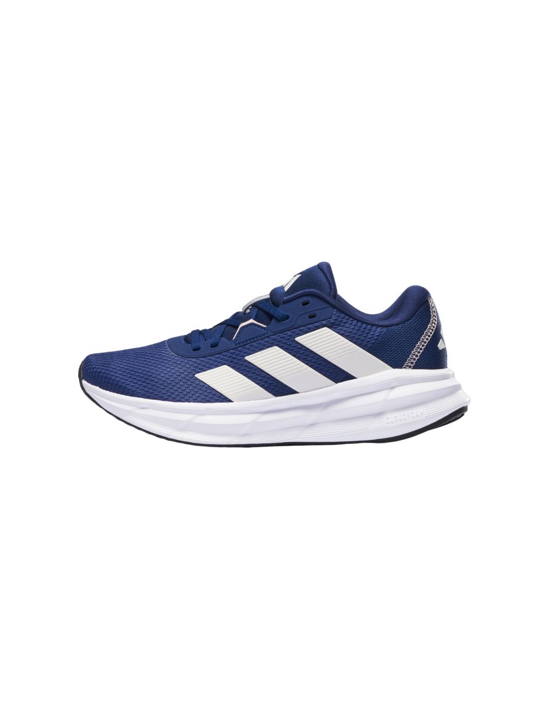 719877-thickbox_default-9696a9a6-dd7c-ef11-9736-00155d01f100