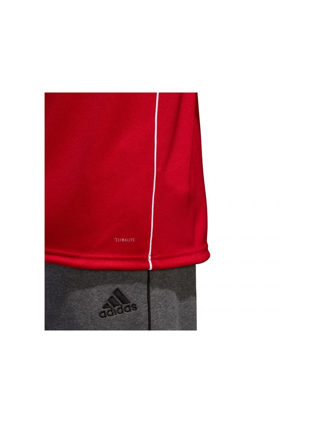 730145-thickbox_default-adidas-core-18-training-top-m-cv3999